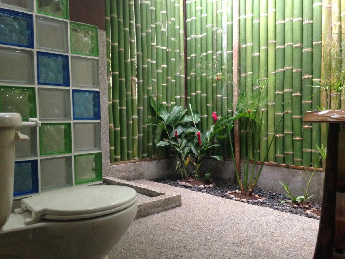 Cabuya  Jungle Lodge At Wild Sun Rescue Center מראה חיצוני תמונה